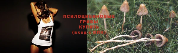 экстази Козловка
