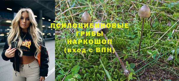 мдпв Кодинск