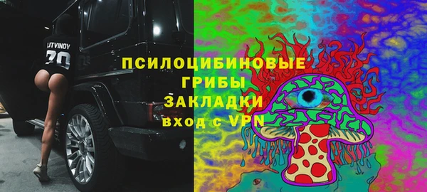 мдпв Кодинск