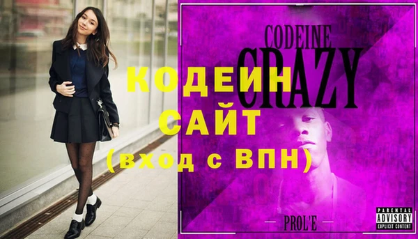 мдпв Кодинск