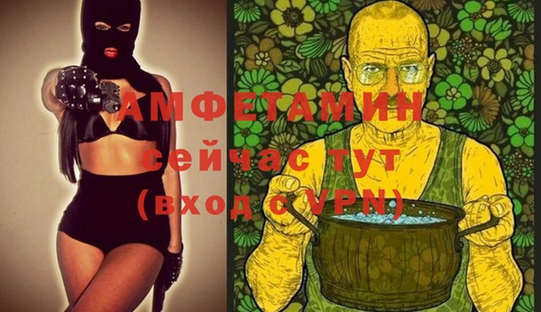 мдпв Кодинск