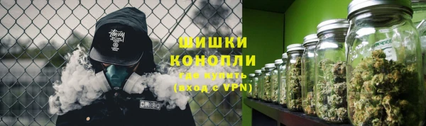 мдпв Кодинск