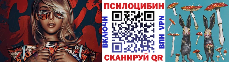 Купить закладки  Петров Вал  Галлюциногенные грибы Magic Shrooms 